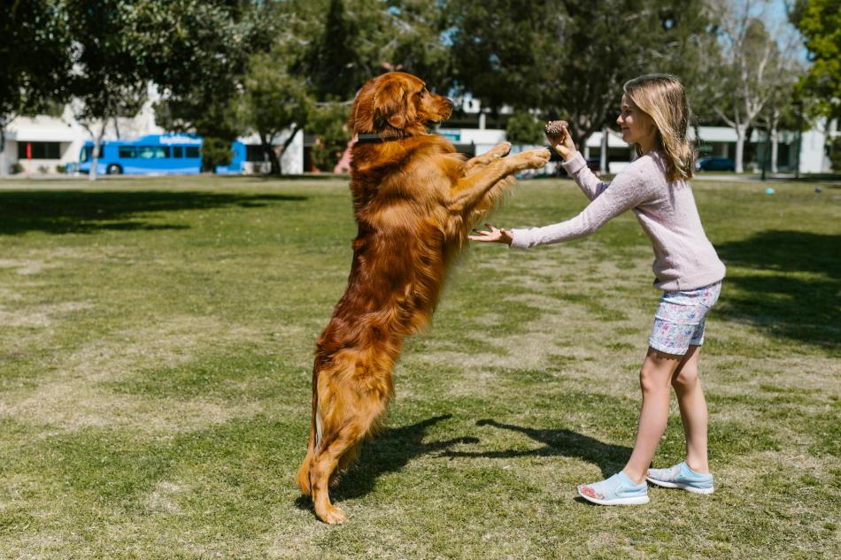 cane e bambina