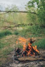 Incendi boschivi