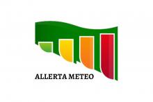 allerta meteo