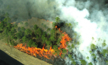 Prorogata la fase di grave pericolosità degli incendi boschivi