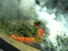 Attivazione della fase di attenzione per gli incendi boschivi