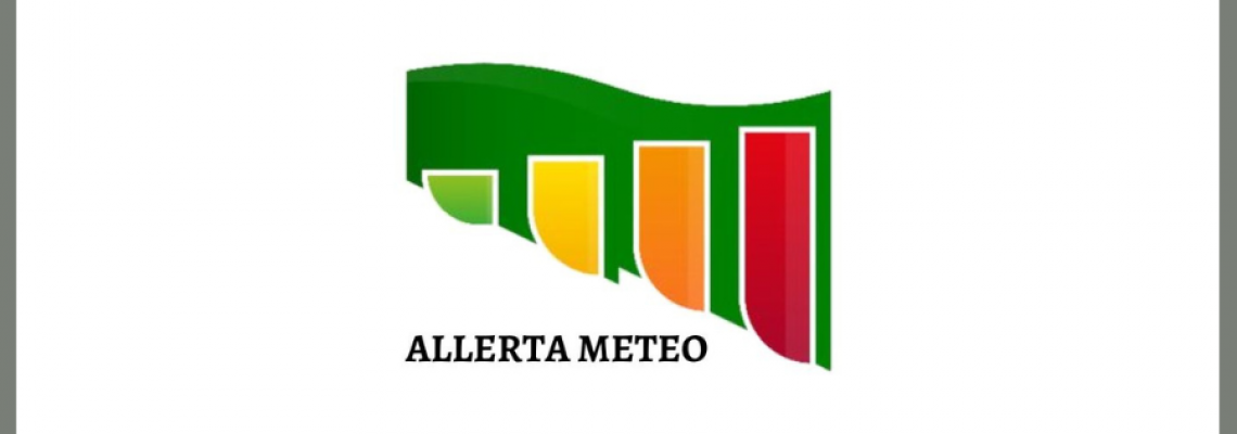allerta 142 2024