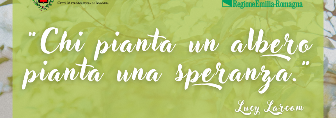 Chi pianta un albero pianta una speranza