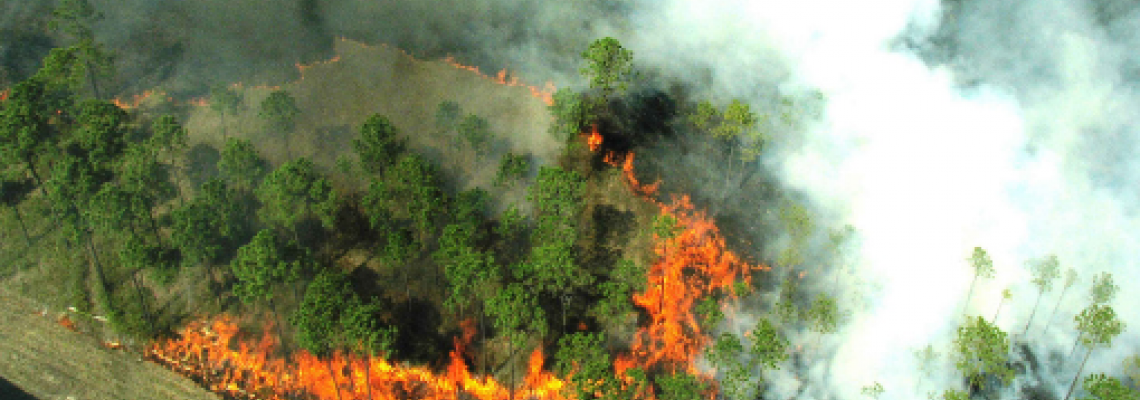 Prorogata la fase di grave pericolosità degli incendi boschivi